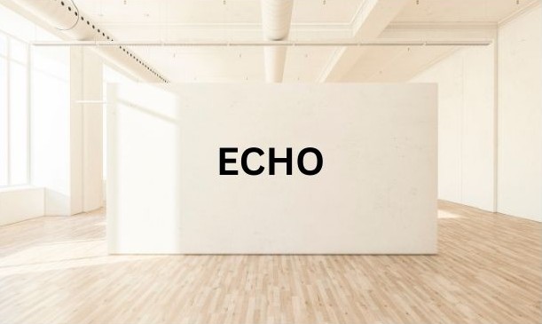 echo in a large empty space hard surfaces